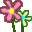 monkey_flowers